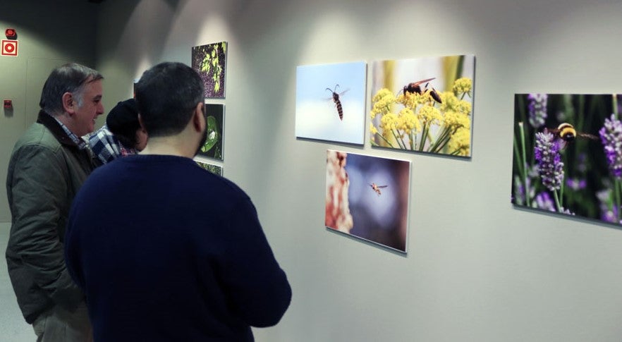 Del 9 al 13 de abril en la Sala de Exposiciones de la Fundación Cajacírculo