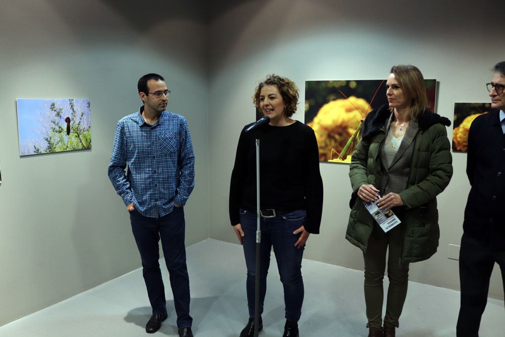 Del 9 al 13 de abril en la Sala de Exposiciones de la Fundación Cajacírculo