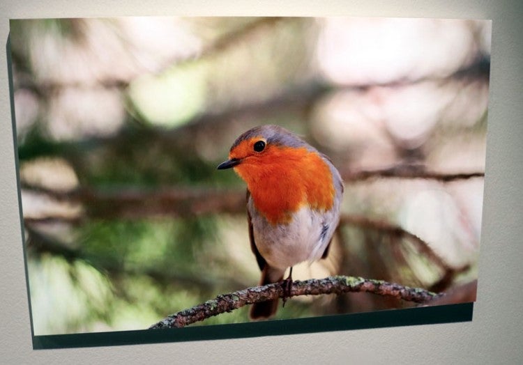 Del 9 al 13 de abril en la Sala de Exposiciones de la Fundación Cajacírculo