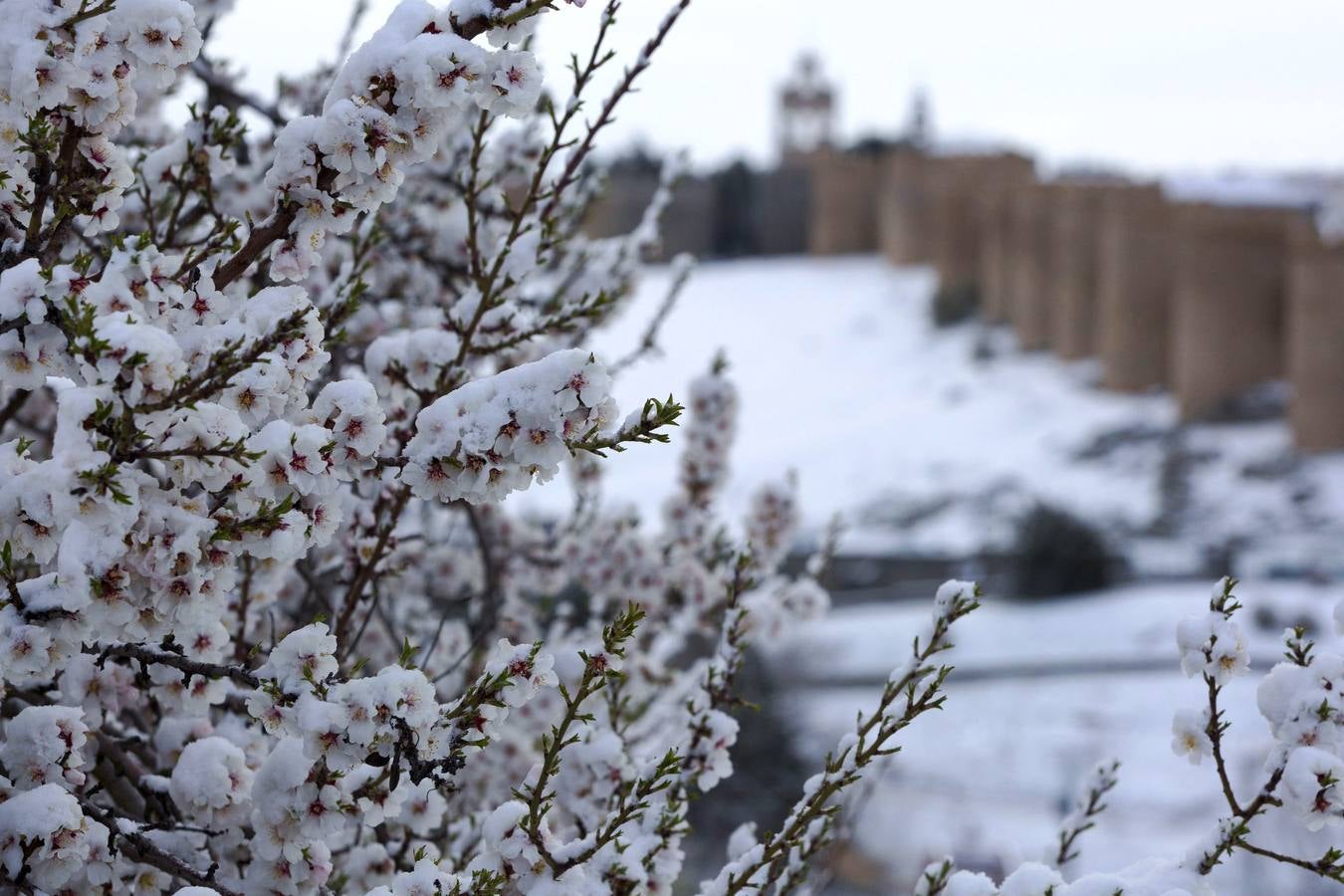 Nieve en Ávila.