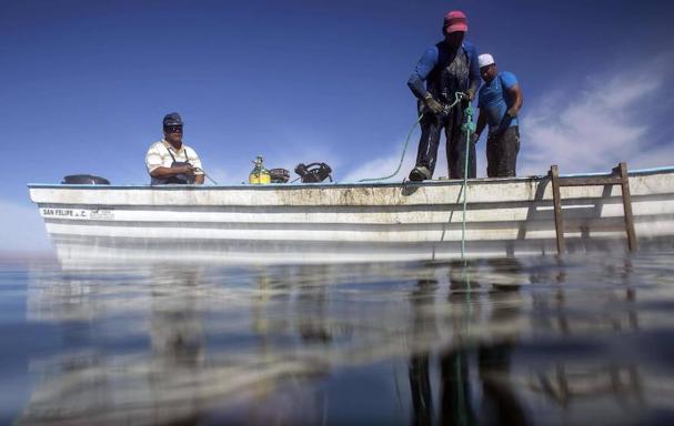 Pescadores en el Golfo de California. 