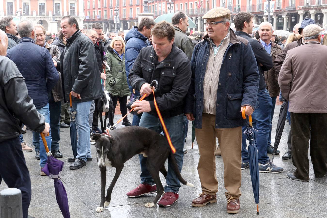 Un millar de personas se han dado cita en la Plaza Mayor para defender la actividad cinegética y contra de la escalada de ataques y provocaciones que, según denuncian, vienen sufriendo por parte de grupos animalistas y ecologistas