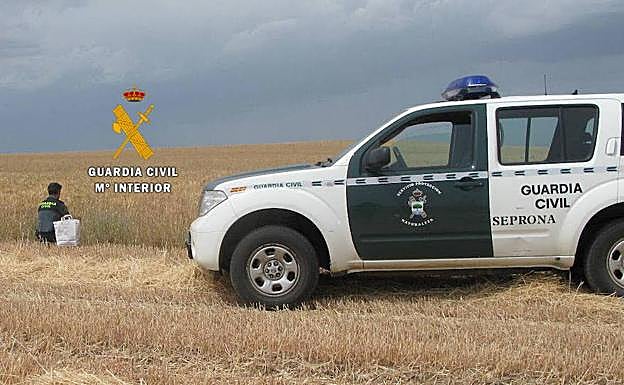 Vehículo del Seprona de la Guardia Civil. 