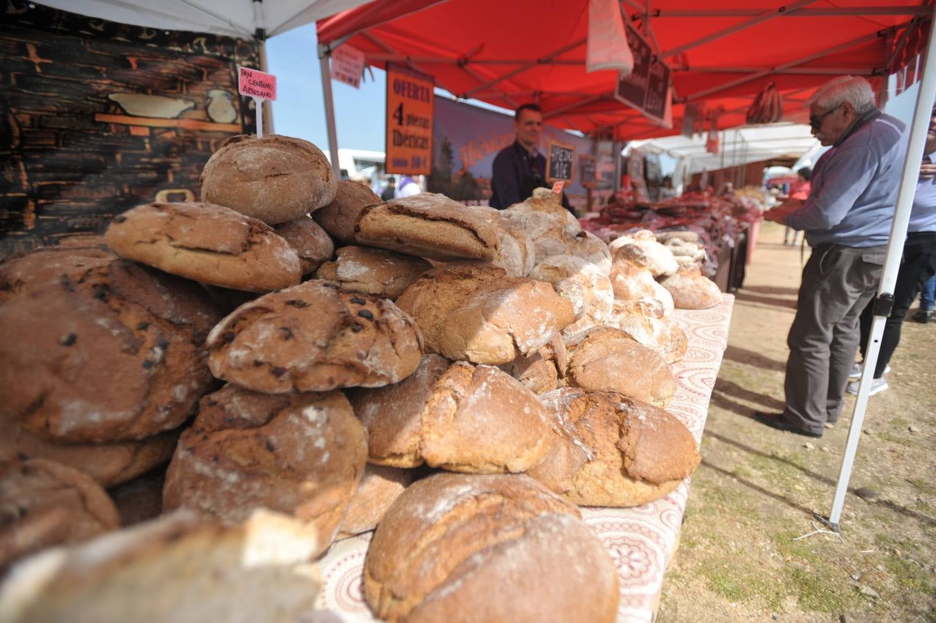 Fotos: Ambiente en Villalar el Día de Castilla y León