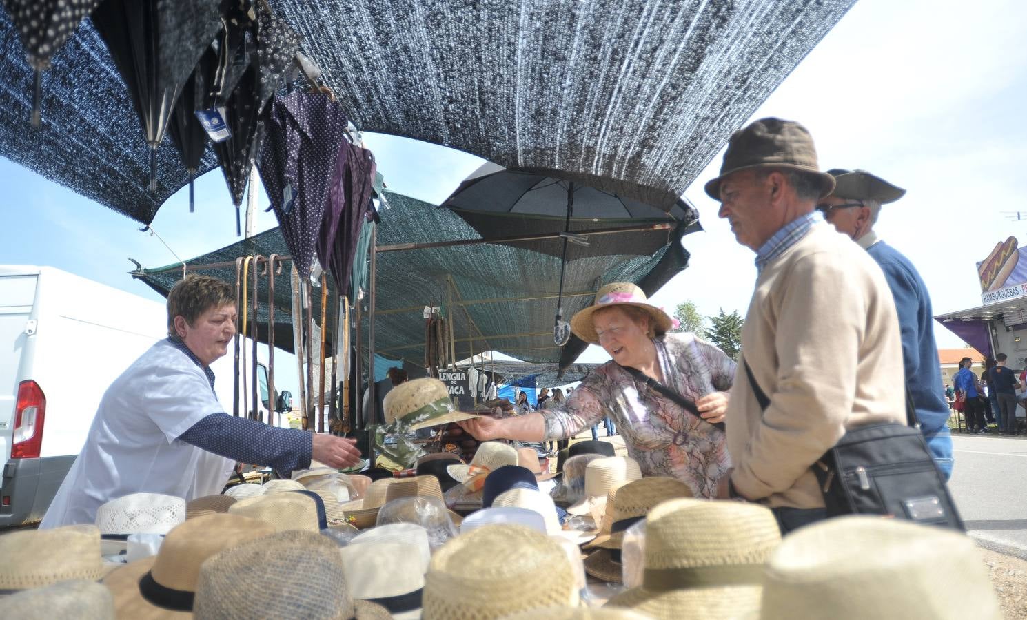 Fotos: Ambiente en Villalar el Día de Castilla y León