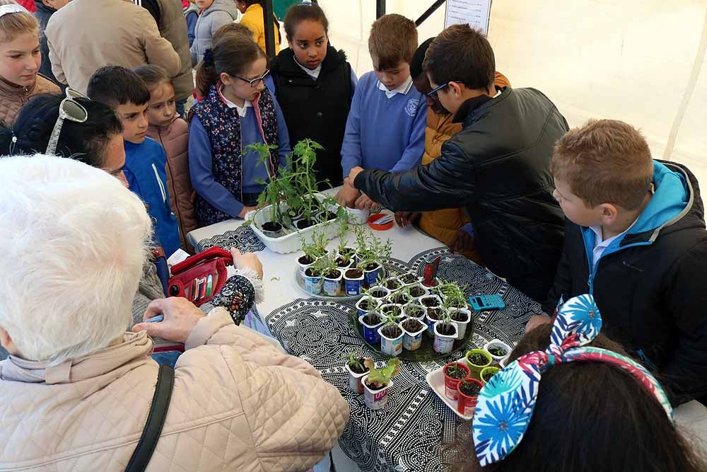 Fotos: En imágenes la 12º Feria Pequeños Emprendedores