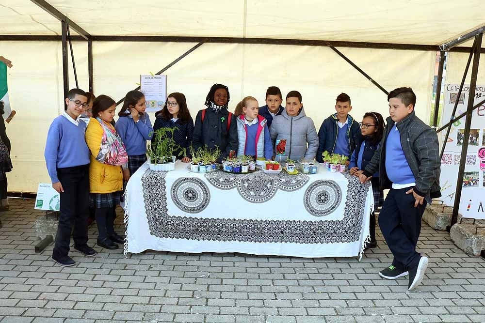 Fotos: En imágenes la 12º Feria Pequeños Emprendedores