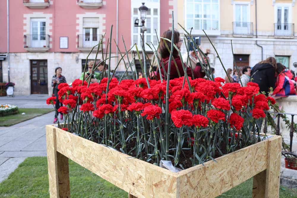 Fotos: Las mejores imágenes de la Fiesta de las Flores