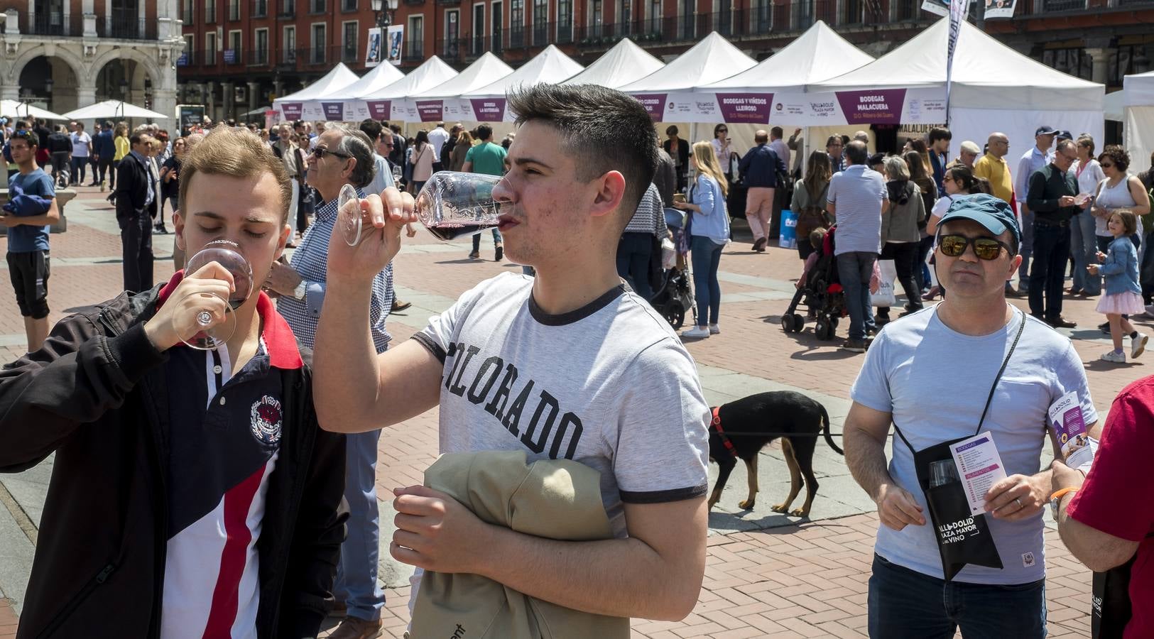 Fotos: Cata del sábado por la mañana en la feria &#039;Valladolid, Plaza Mayor del Vino&#039;