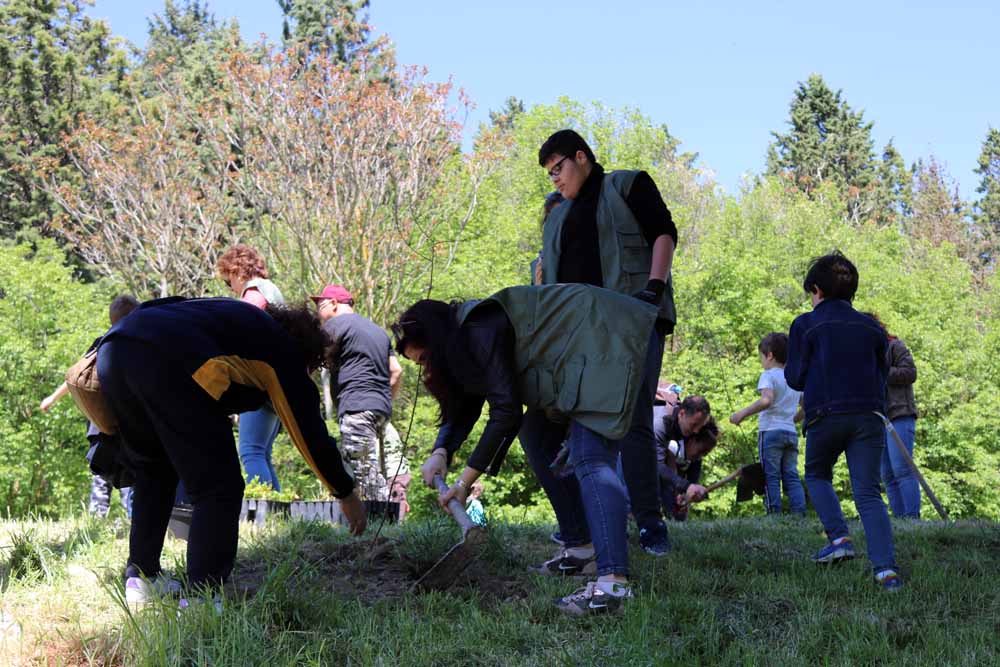 Fotos: Centenares de burgaleses han plantado árboles en la ladera del Castillo