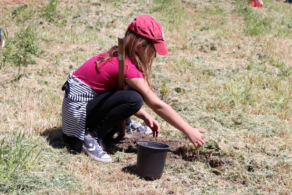 Fotos: Centenares de burgaleses han plantado árboles en la ladera del Castillo