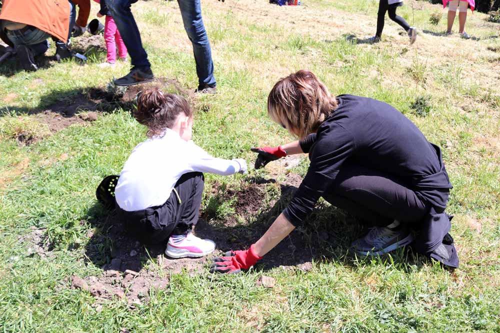 Fotos: Centenares de burgaleses han plantado árboles en la ladera del Castillo