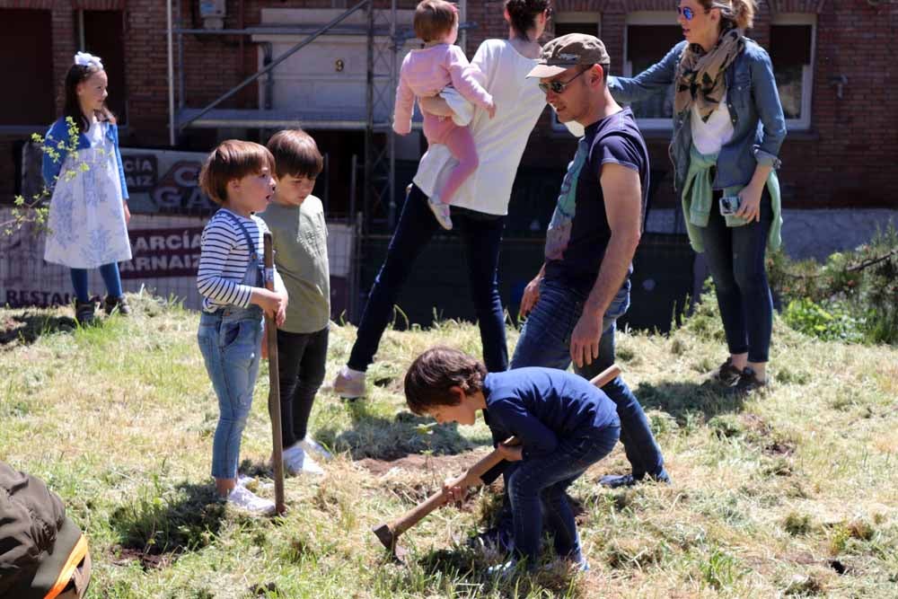 Fotos: Centenares de burgaleses han plantado árboles en la ladera del Castillo