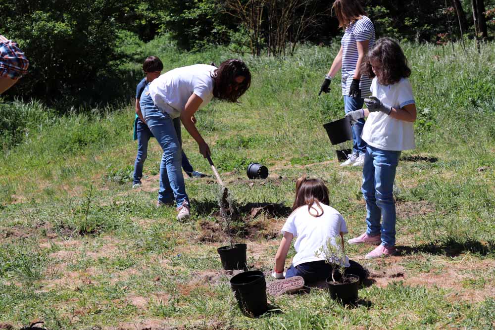 Fotos: Centenares de burgaleses han plantado árboles en la ladera del Castillo