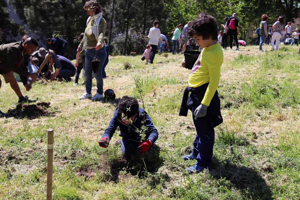 Fotos: Centenares de burgaleses han plantado árboles en la ladera del Castillo