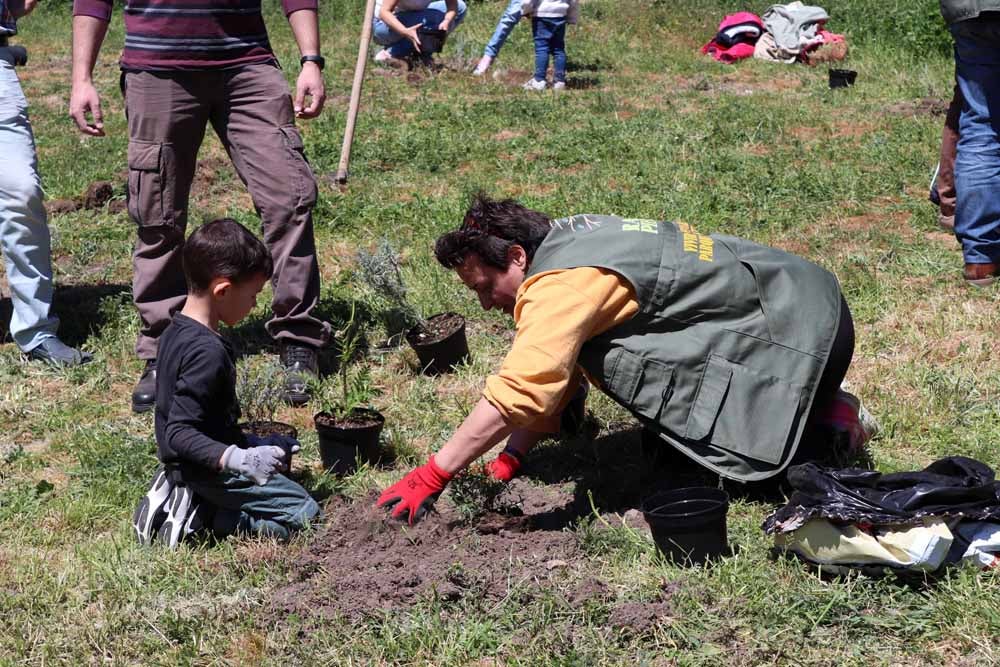 Fotos: Centenares de burgaleses han plantado árboles en la ladera del Castillo