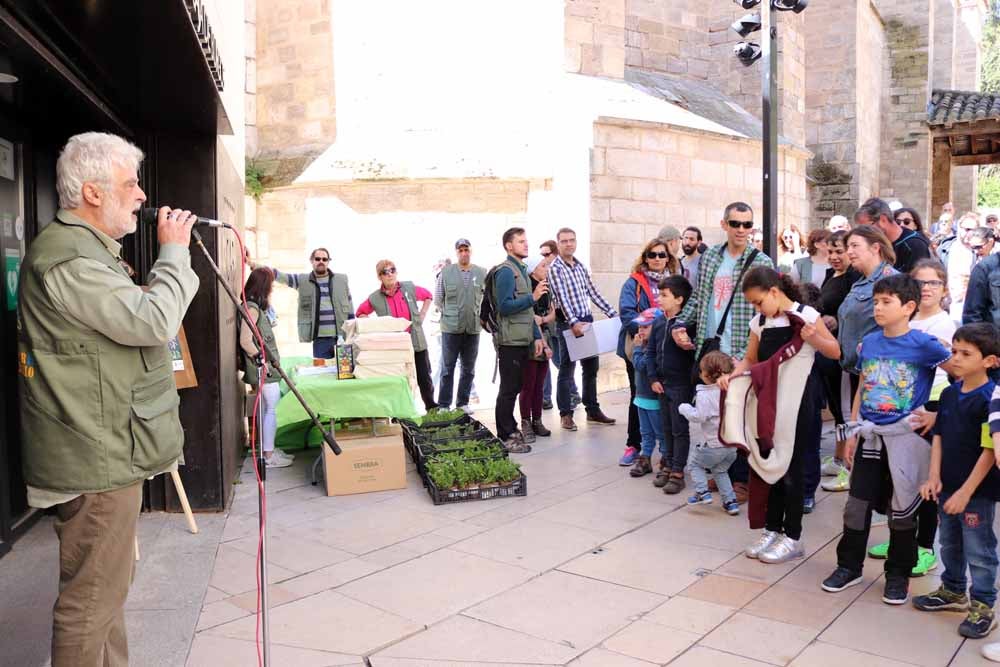 Fotos: Centenares de burgaleses han plantado árboles en la ladera del Castillo