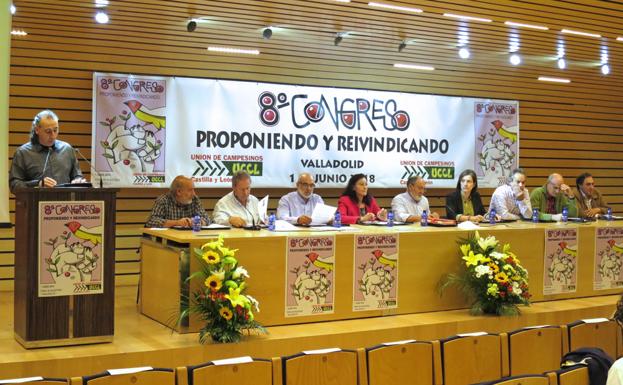 VIII Congreso celebrado hoy