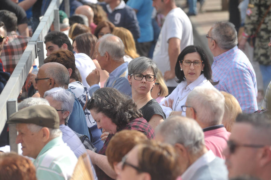 Como viene siendo habitual desde hace años, el primer fin de semana del mes de junio se convierte en una especie de fiestas patronales chicas en Medina del Campo, gracias a la suelta urbana de tres morlacos