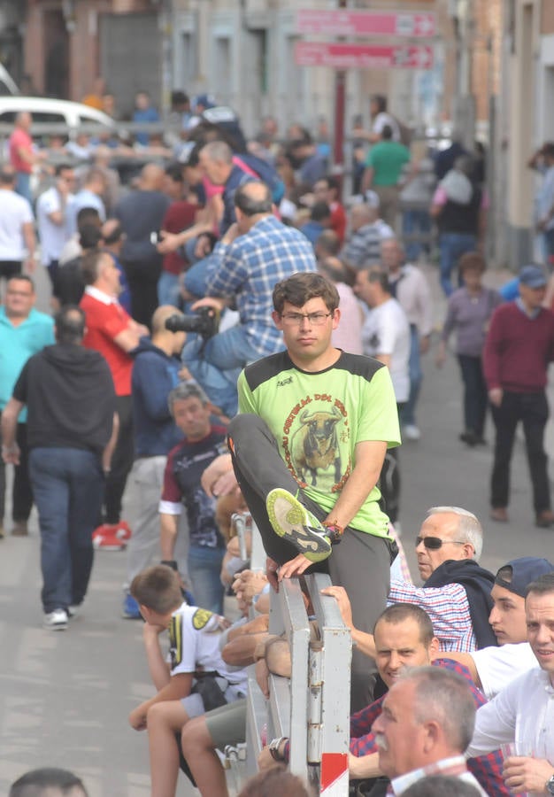 Como viene siendo habitual desde hace años, el primer fin de semana del mes de junio se convierte en una especie de fiestas patronales chicas en Medina del Campo, gracias a la suelta urbana de tres morlacos