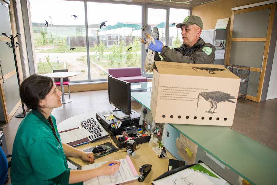 Fotos: Centro de Recuperación de Animales Silvestres (CRAS) de Albillos