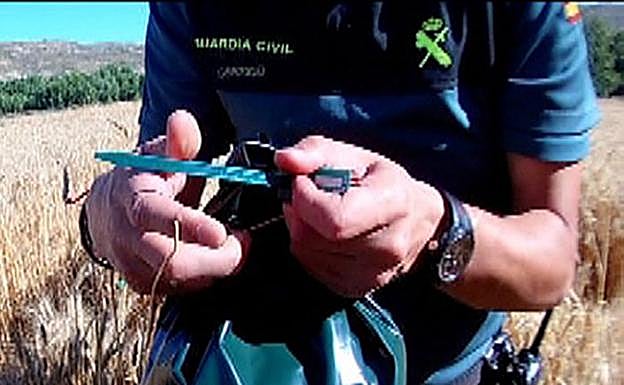 El Seprona investiga a 6 agricultores por fraude en el grano de cereal protegido