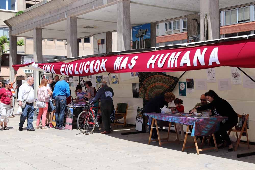 Fotos: Día de la Solidaridad