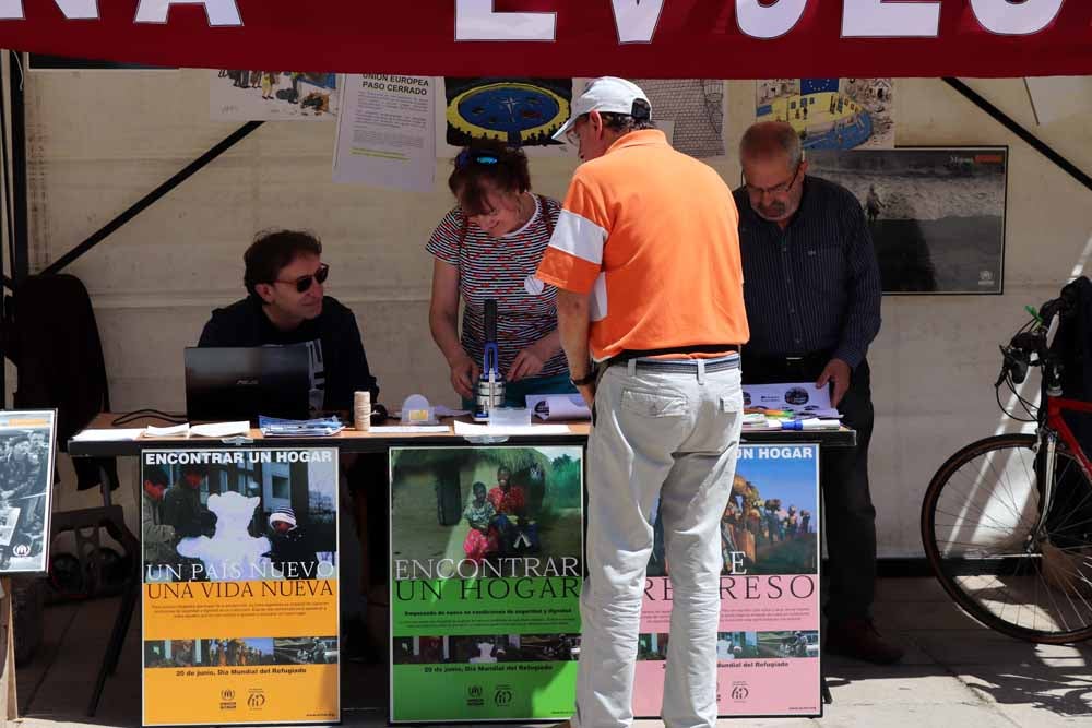 Fotos: Día de la Solidaridad