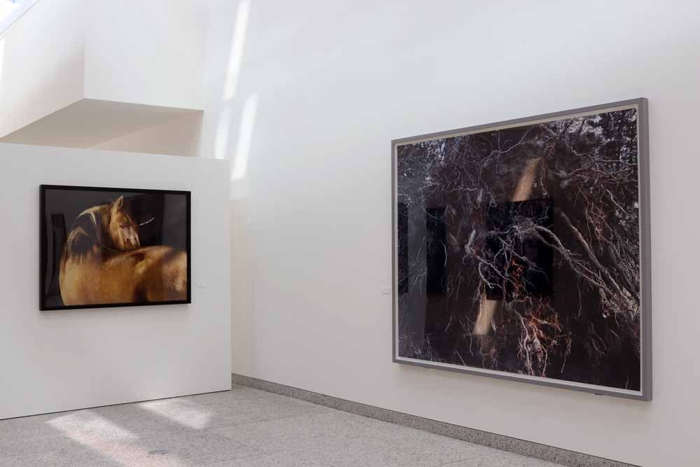 Fotos: Adelanto de la exposición &#039;Atavismos&#039;