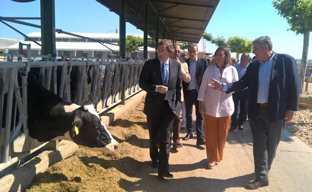 Calidad Pascual se convierte en la primera empresa en certificar en bienestar animal todas sus granjas proveedoras