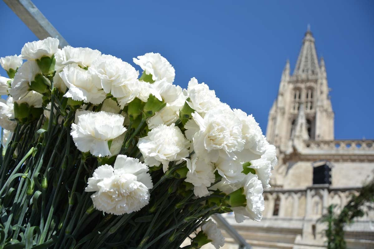 Fotos: Ofrenda Floral a Santa María La Mayor