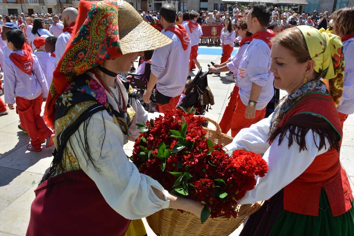 Fotos: Ofrenda Floral a Santa María La Mayor