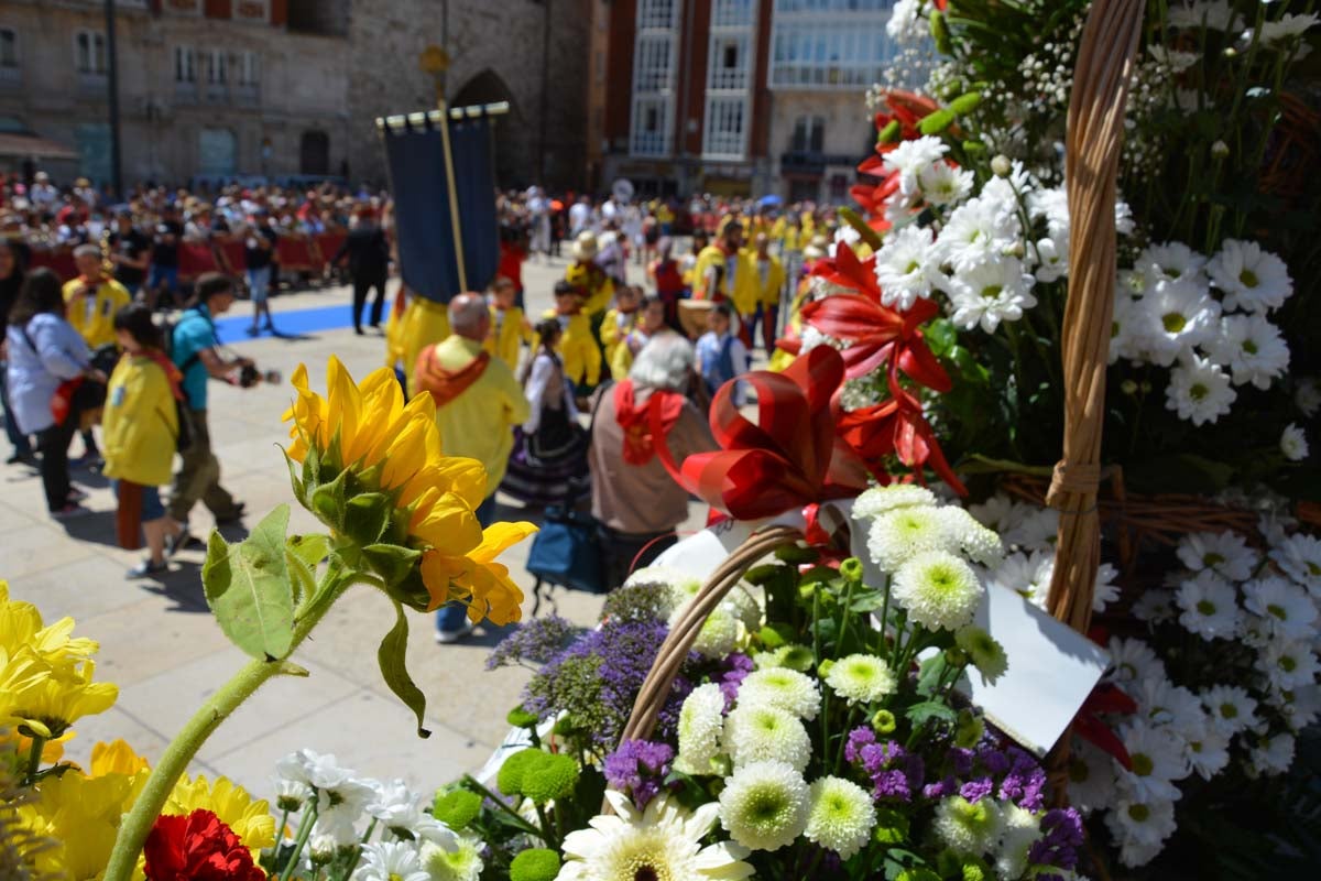 Fotos: Ofrenda Floral a Santa María La Mayor