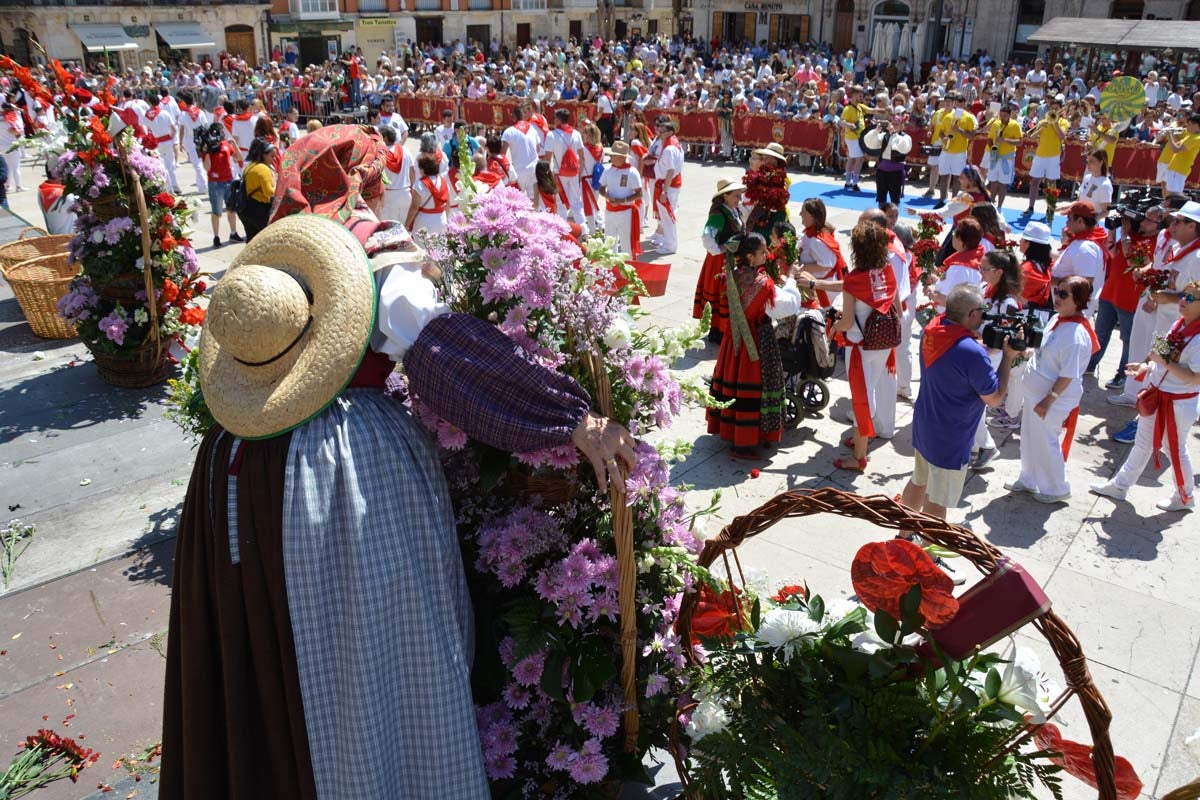 Fotos: Ofrenda Floral a Santa María La Mayor