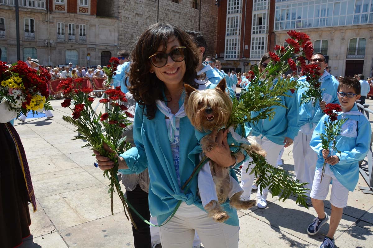 Fotos: Ofrenda Floral a Santa María La Mayor