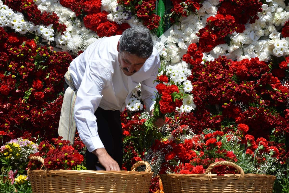 Fotos: Ofrenda Floral a Santa María La Mayor