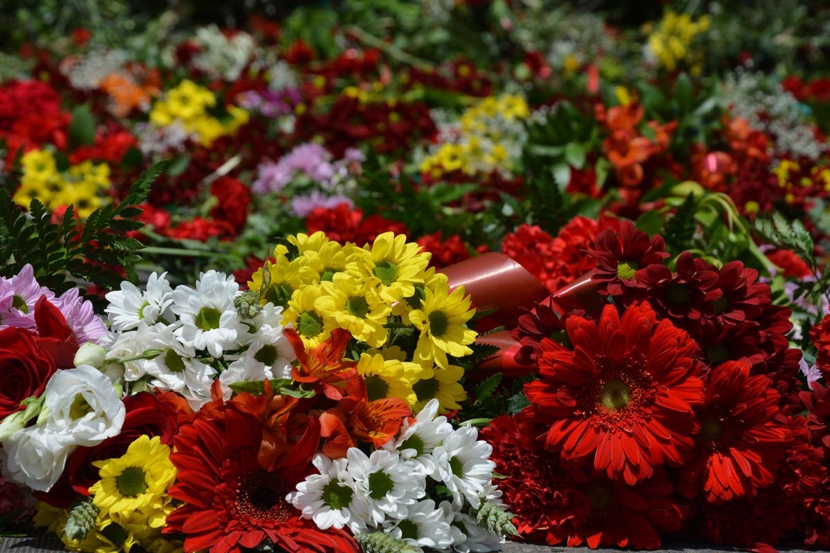 Fotos: Ofrenda Floral a Santa María La Mayor