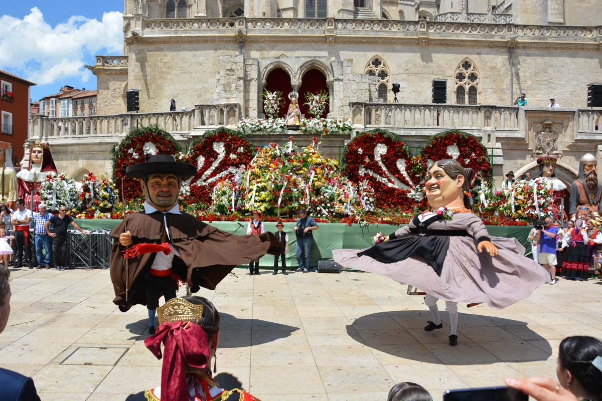 Fotos: Ofrenda Floral a Santa María La Mayor