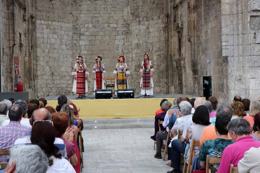 Fotos: Festival Castilla Folk en imágenes