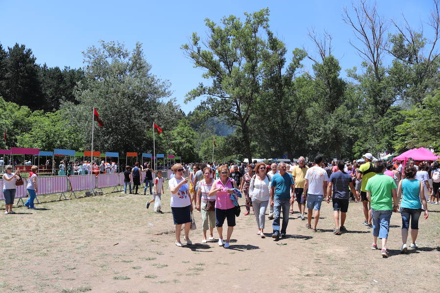 El Parque de Fuentes Blancas fue, como es habitual, el escenario de las últimas citas de los Sampedros: el Día de las Peñas y la quincuagésima primera edición del Concurso del Buen Yantar