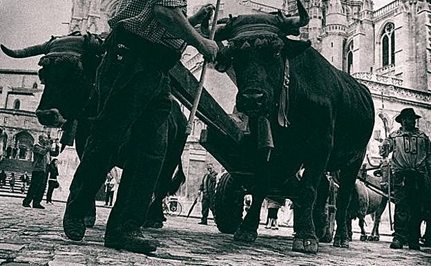 Los materiales que dieron vida a la Catedral llegarán este viernes portados por carreteros