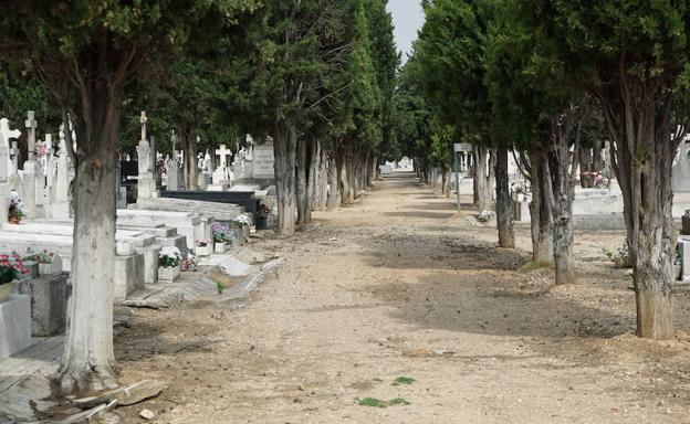 Camino del cementerio de El Carmen, en Valladolid, donde estaban enterrados los 247 cuerpos de represaliados.