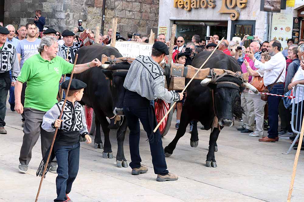 Fotos: Los materiales que dieron forma a la Catedral vuelven en bueyes y vacas serranas