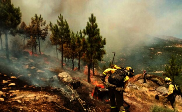 Efectivos de las Brigadas de Refuerzo de Incendios Forestales (BRIF) realizan tareas de extinción en el incendio de Casavieja (Ávila).