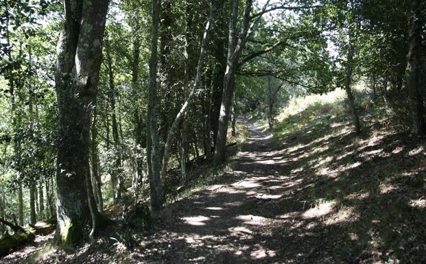 Ruta de los Puentes, del parque natural de Saja-Besaya. 