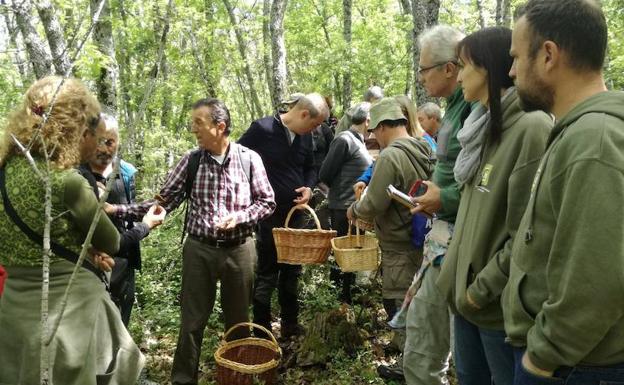 Varios aficionados a la micología, durante unas jornadas de 'buscasetas' en una imagen de archivo.