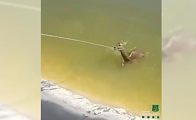 imagen del momento del rescate