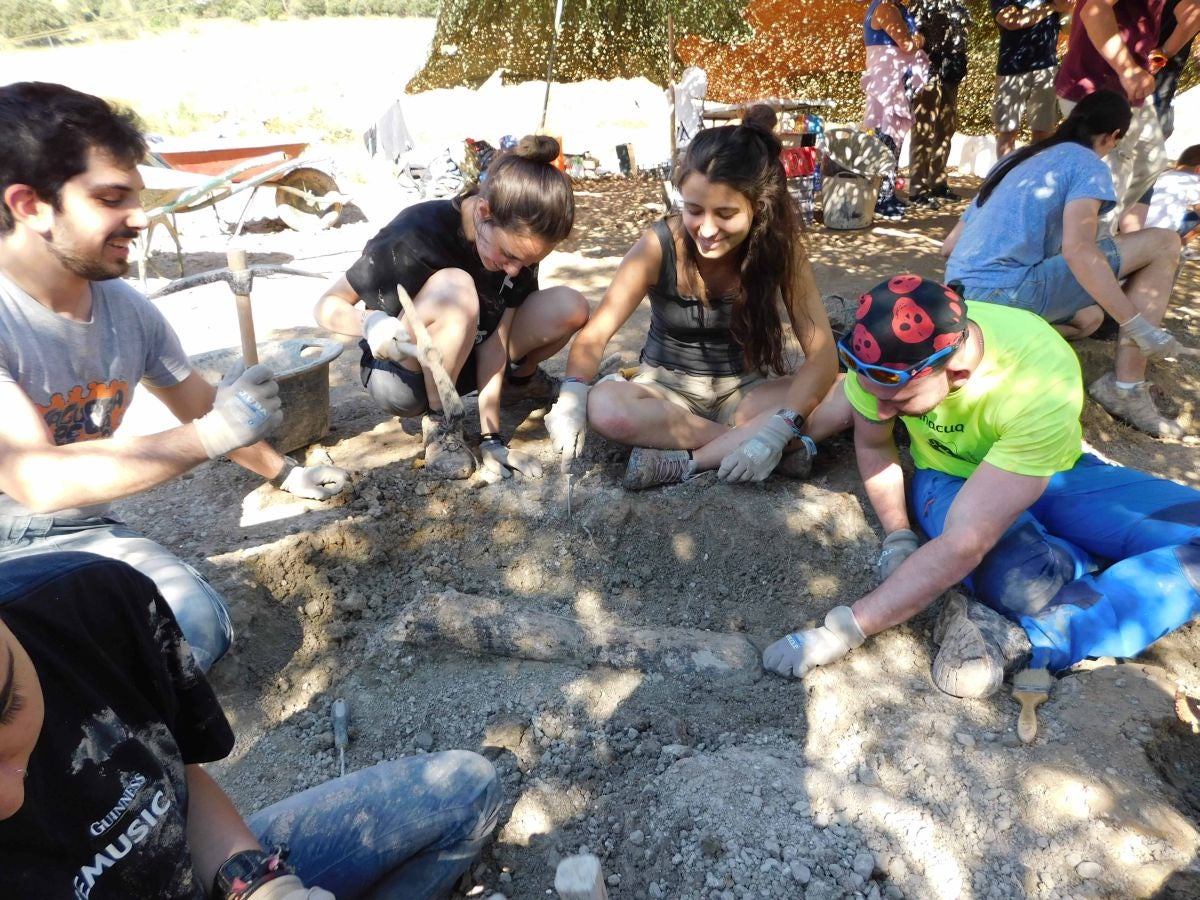 Fotos: Balance de la Campaña 2018 de excavaciones en el yacimiento de restos de dinosaurios Valdepalazuelos-Tenadas del Carrascal de Torrelara