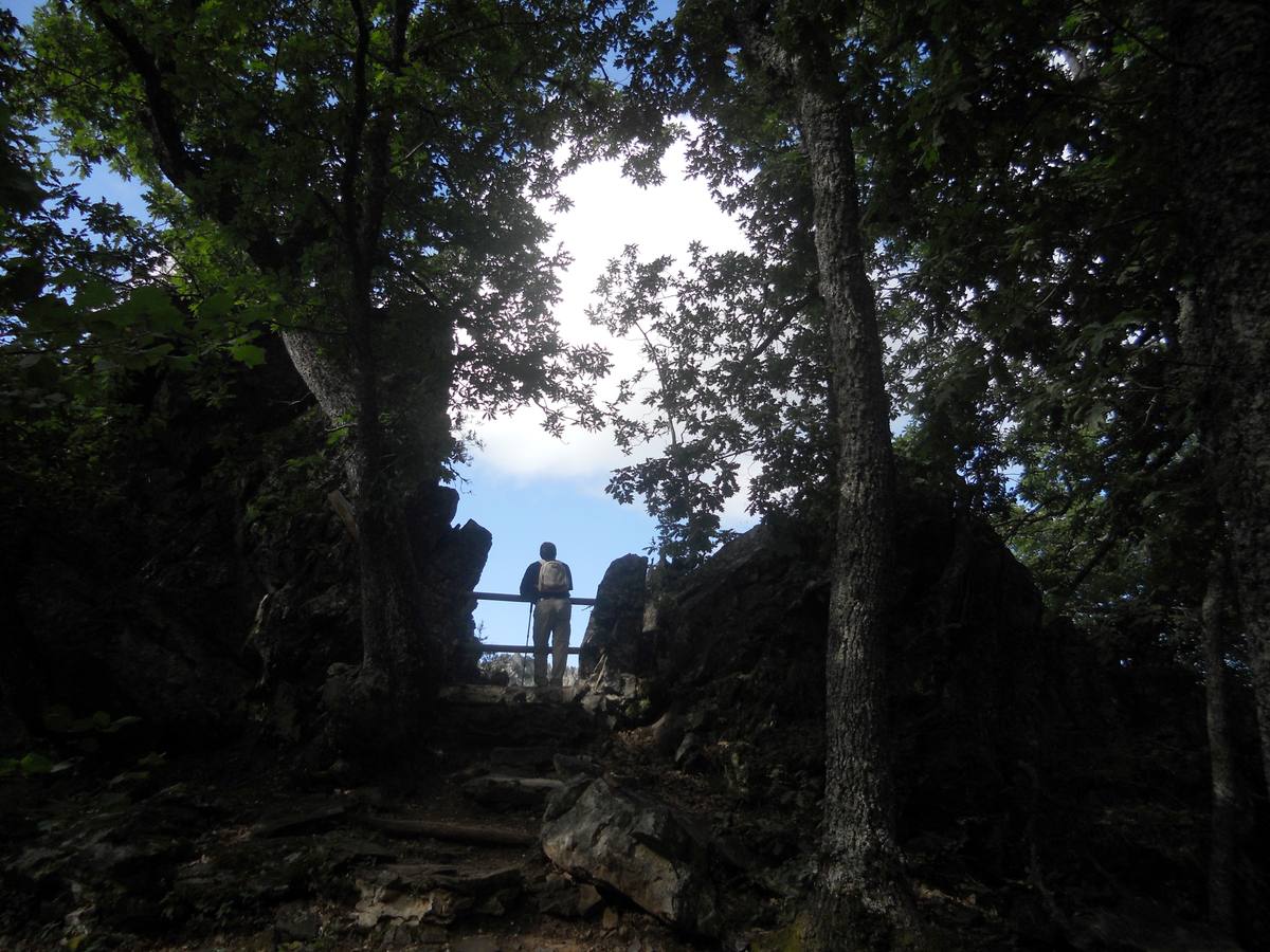 Una ruta de 11 kms, con un recorrido circular que une Villabellaco, Valle de Santullán y el Santuario del Carmen | Una senda en homenaje al escultor local Ursicinio Martínez entre bosques de rebollos y esculturas de sus compañeros del Grupo Muriel