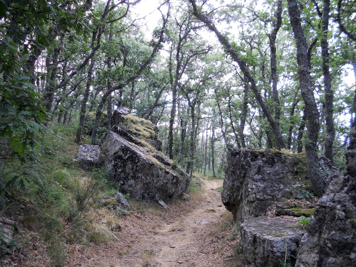 Una ruta de 11 kms, con un recorrido circular que une Villabellaco, Valle de Santullán y el Santuario del Carmen | Una senda en homenaje al escultor local Ursicinio Martínez entre bosques de rebollos y esculturas de sus compañeros del Grupo Muriel